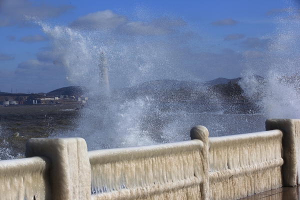 威海公园海水冰凌