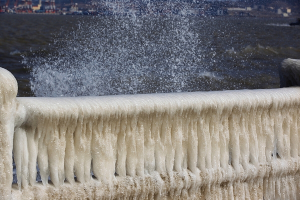威海公园海水冰凌