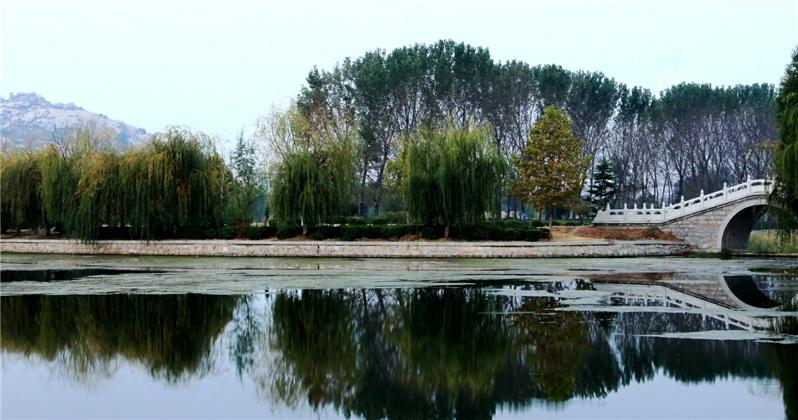 唐王河公园一角