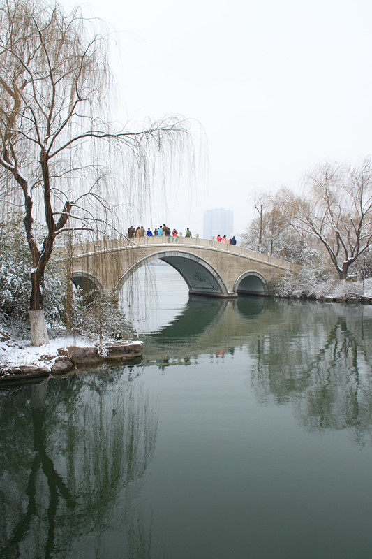 冬雪大明明湖一瞥7