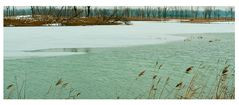 冬水韵依依