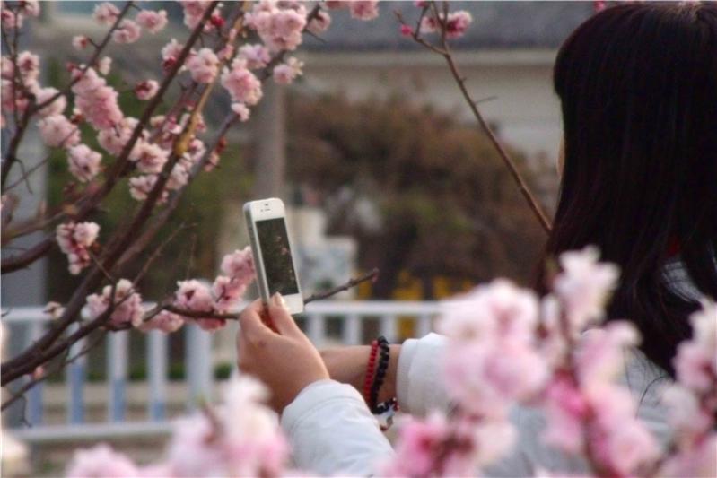 美好生活从手机开始