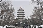 傲然矗立风雪中（肥城龙山塔）