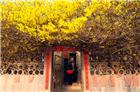 小院