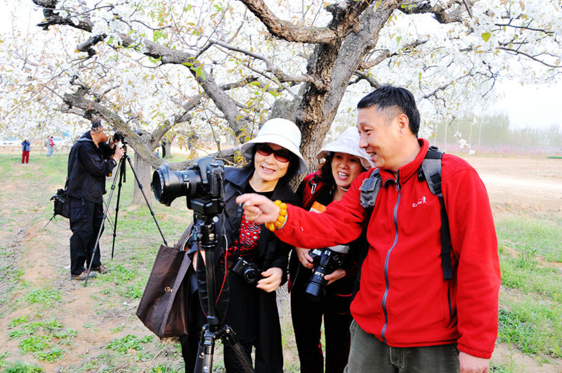 《寻美景》摄影：王宪金