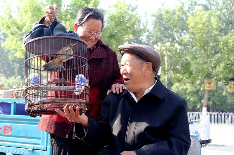 逗鸟-"孔子故乡 中国山东"网络摄影大赛官方网站