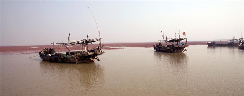 《黄河口红海滩》