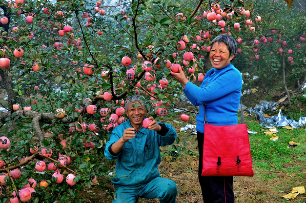 丰收的喜悦(一)