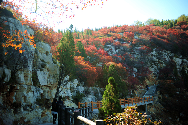 枫红染尽石门坊