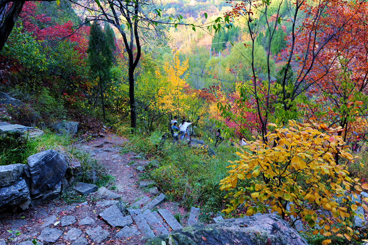 红叶谷的童话世界