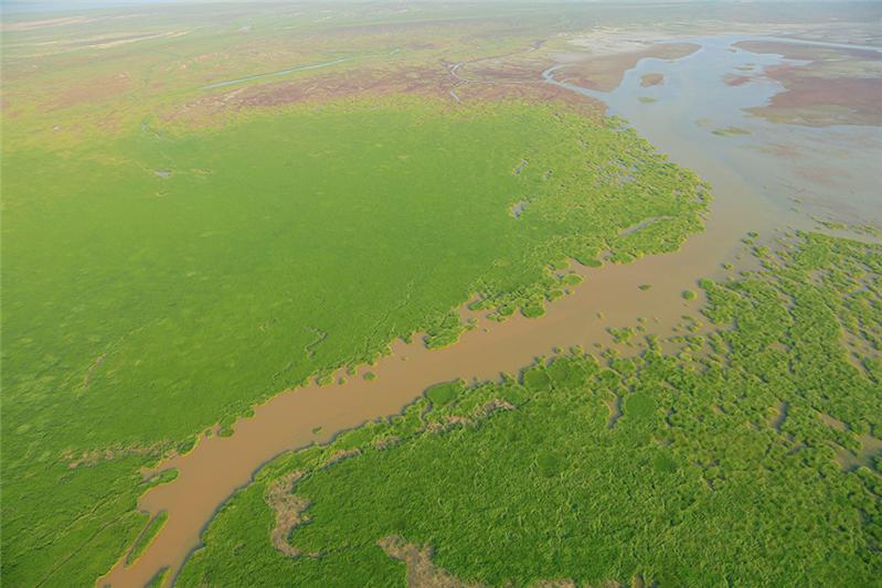 《航拍黄河入海口湿地》
