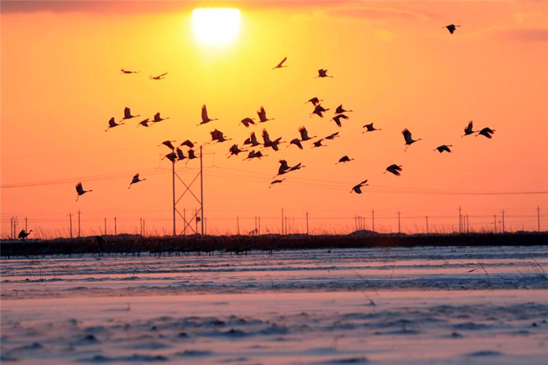 《冬日黄河口印象》