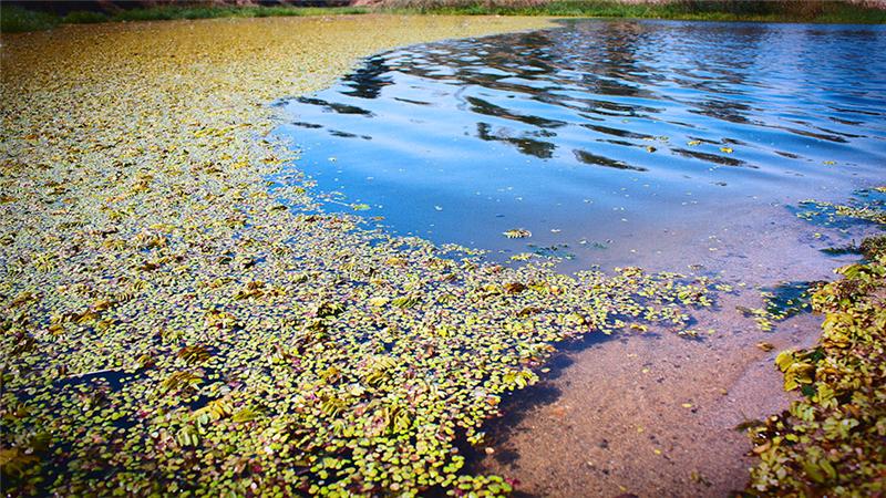 汶河岸，汶水边