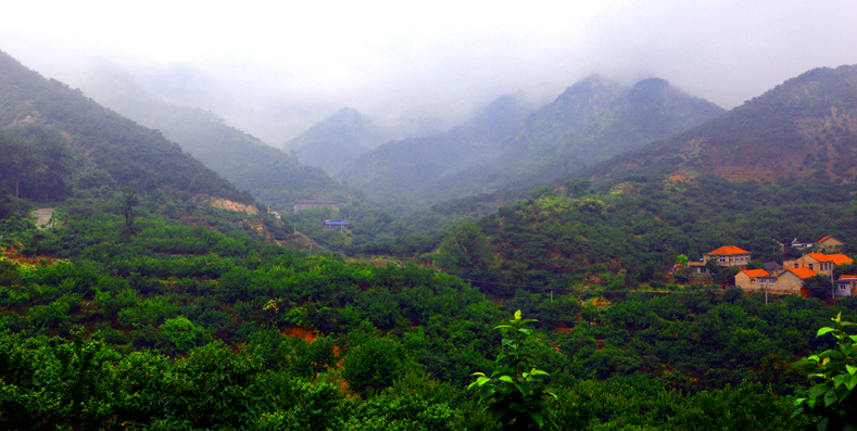 云雾深处有人家