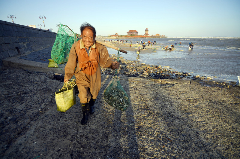 蓬莱士女勤劳动