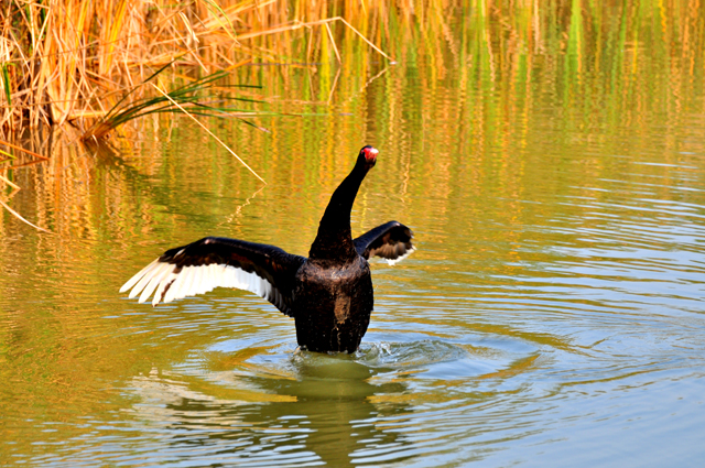 伸个懒腰真舒服！