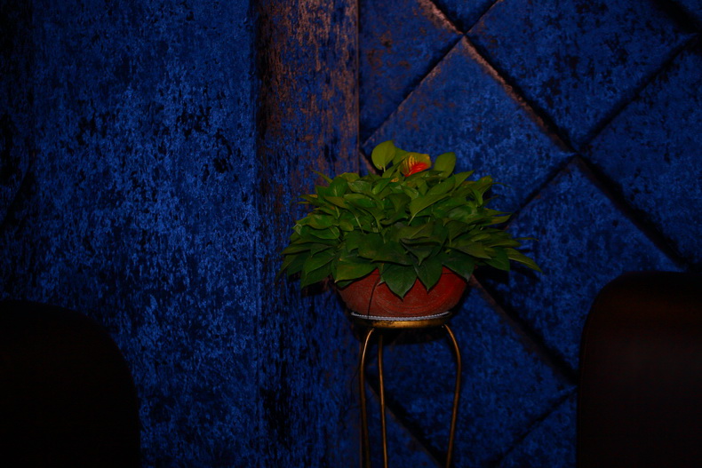 君子慎独,不欺暗室!-孔子故乡 中国山东国际网