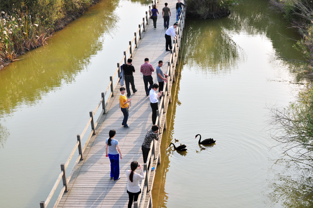 秋游黄河口好风光