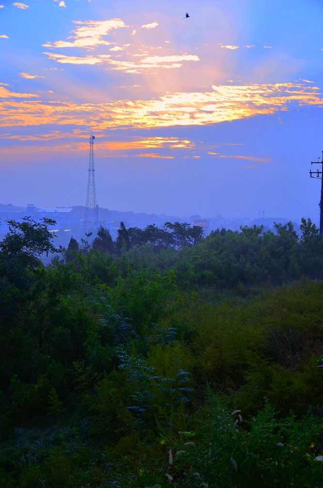 落霞与孤鹜齐飞