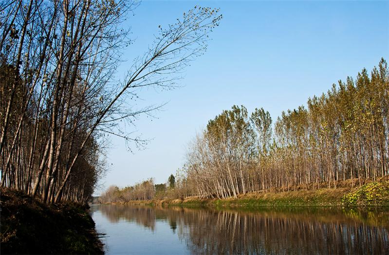 《小清河秋韵》