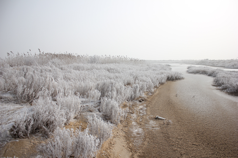 贝壳堤的水晶世界