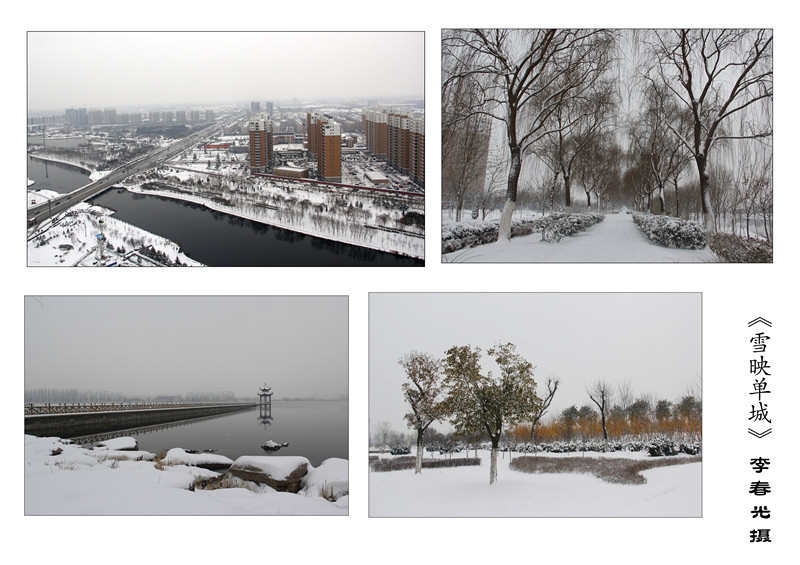 雪映单城