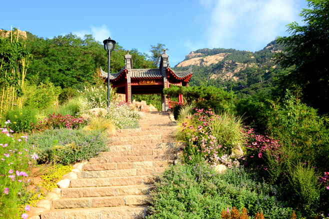 洞天有路不常扃