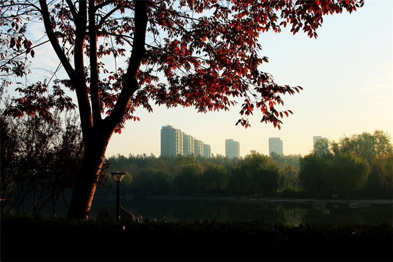 深秋红叶映家园