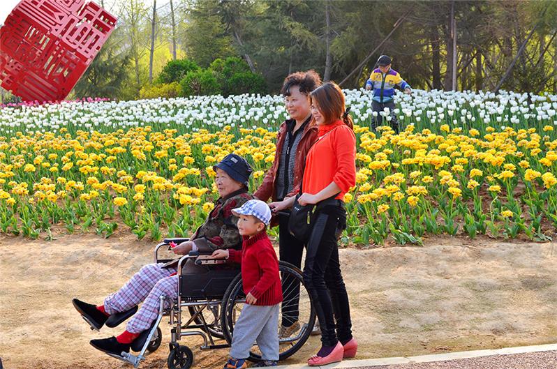 我送姥姥去赏花