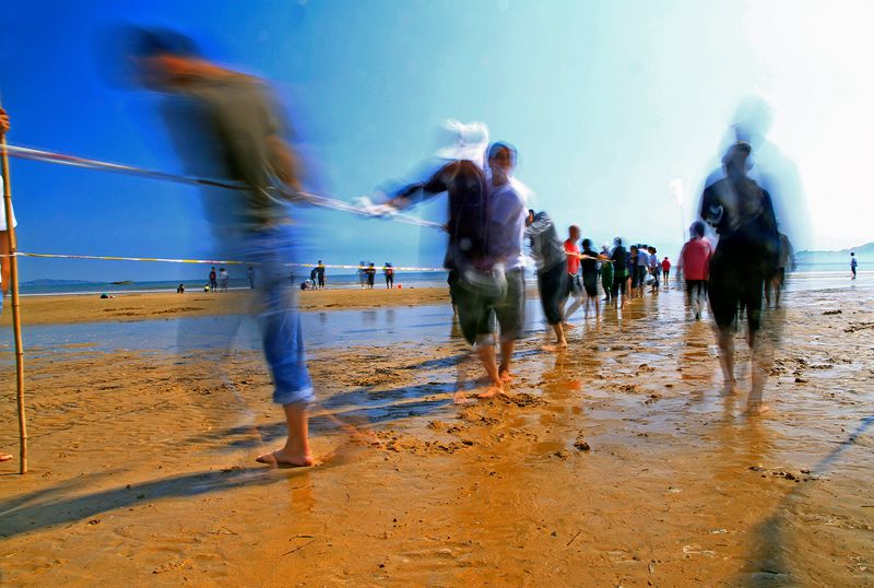 齐心协力拉大网