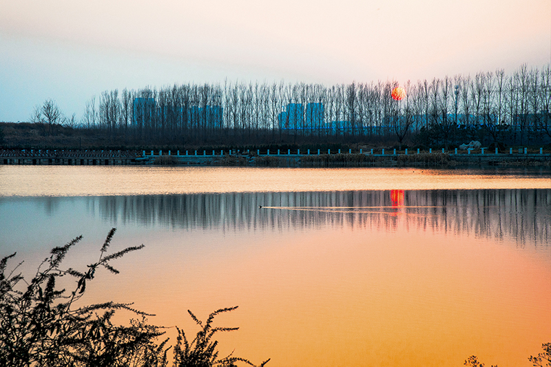 孤鹜伴着落霞游