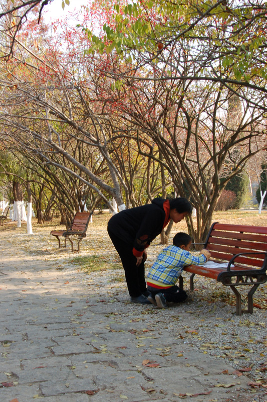 公园里的祖孙俩