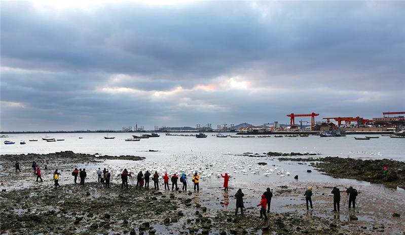 千姿百态摄影人