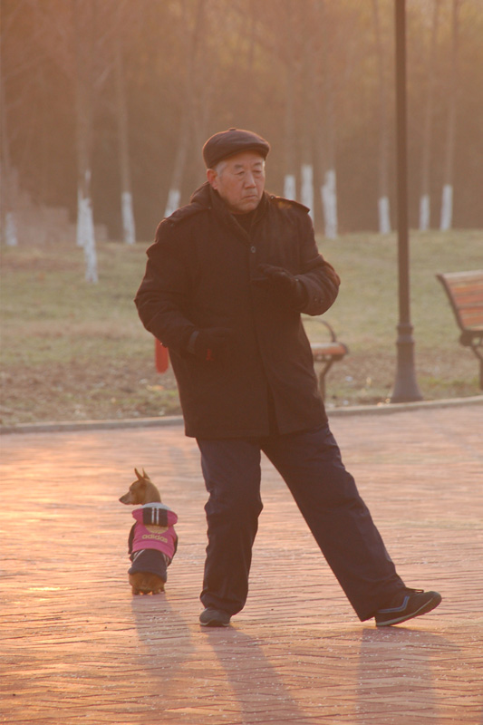 老人与他的小狗