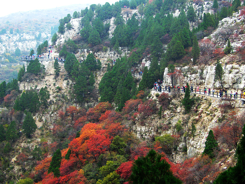 石门坊赏红叶（一）