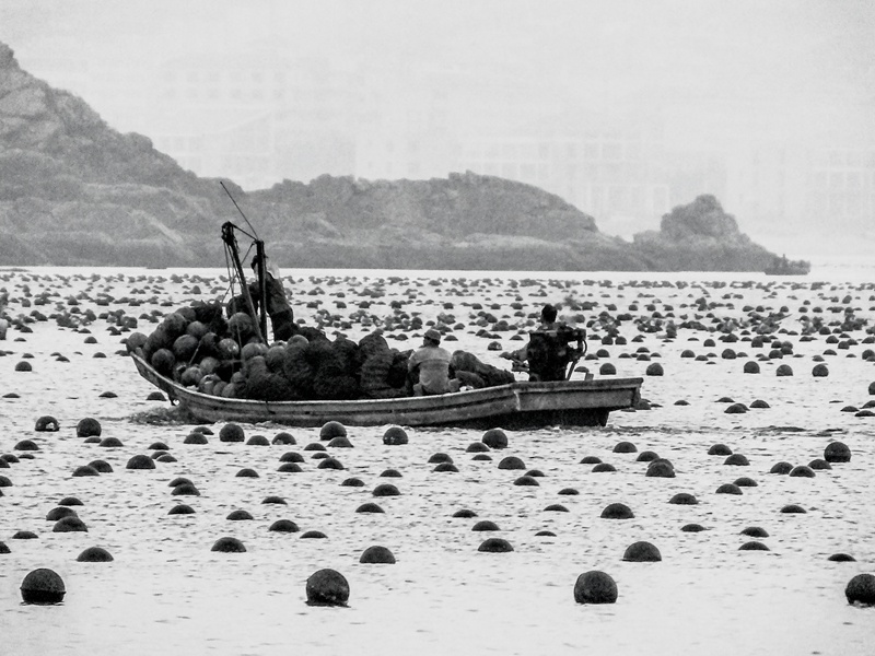海上养殖11