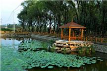 美丽乡村小莫亭