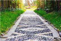 路小绿——摄于济南中建瀛园