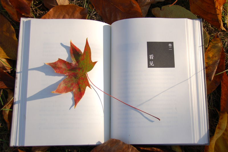 《看见》-“孔子故乡 中国山东”国际网络摄影大赛官方网站