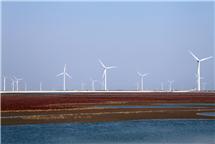 《黄河口风光》-