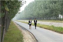 《黄河口乡村林网路渠》