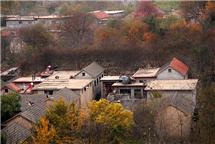 家乡小院秋意浓