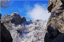 无限风光在险峰