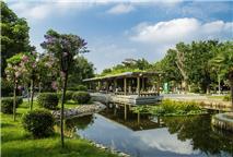 白云下的济宁一角