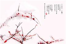 <卜算子·似梅》