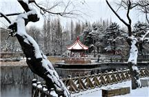 中山公园雪景