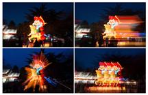 羊年有余（组照）