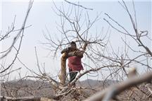 最美的“小苹果”舞姿