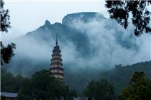 雾绕灵岩寺