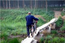 走在乡间的小路上